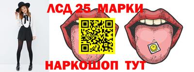 СК Кингисепп