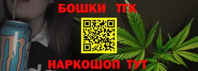 СК Кингисепп