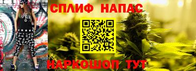 СК Кингисепп