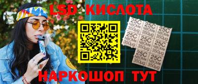 СК Кингисепп