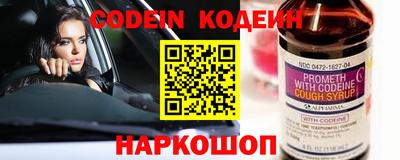СК Кингисепп