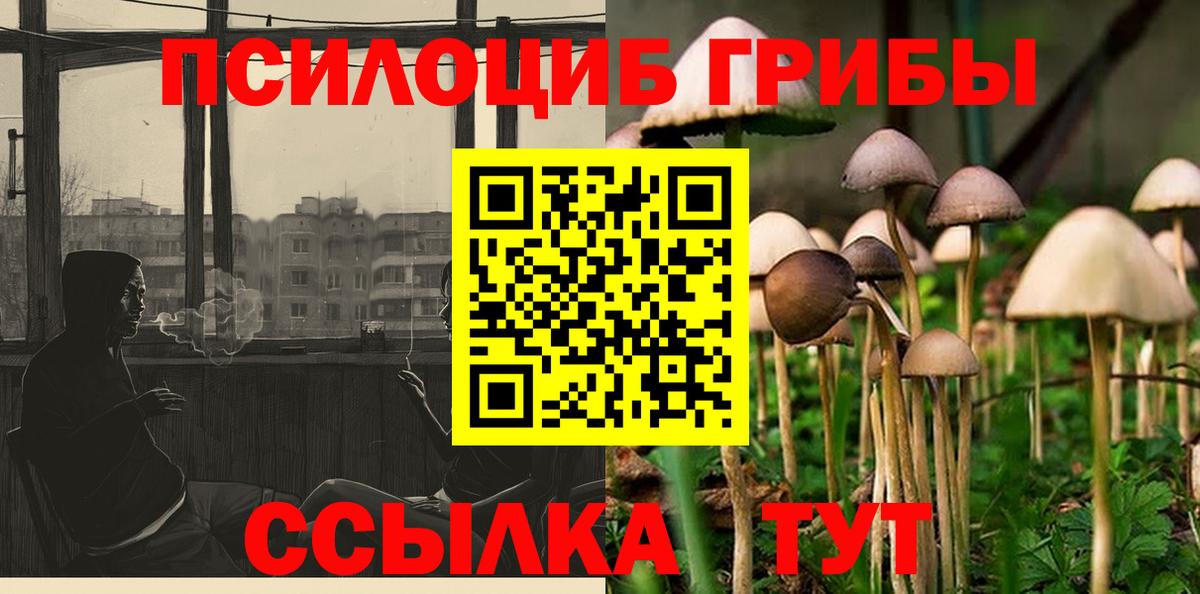 Корсаков  Галлюциногенные грибы мухоморы  где купить   Вход с VPN 