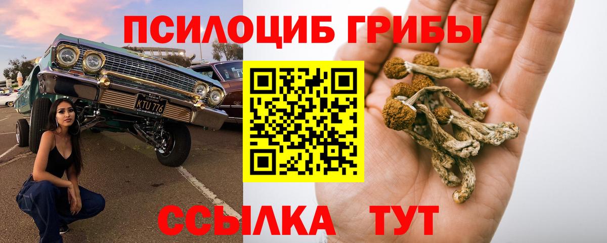 Галлюциногенные грибы мицелий Корсаков